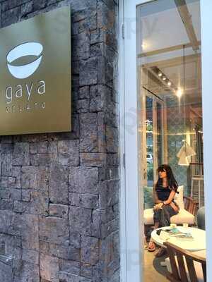 Gaya Gelato