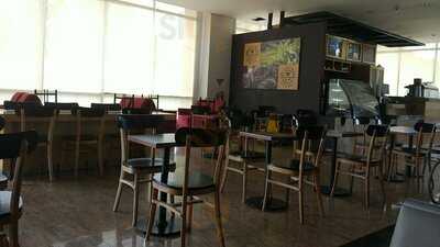 The Coffee Bean & Tea Leaf - Tis Square