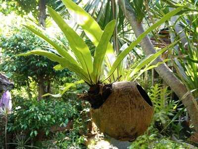 Tasty Vegan Seminyak