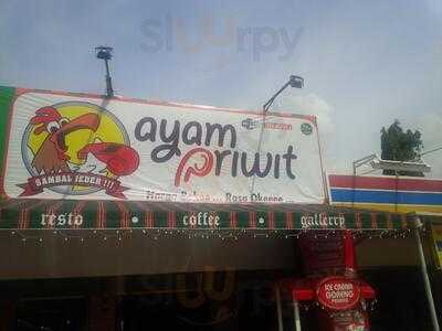 Ayam Priwit