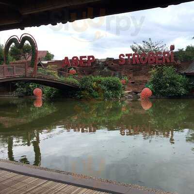 Liwet Pak Asep Stroberi