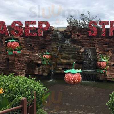 Liwet Pak Asep Stroberi