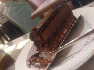 St. Germain By Cacaote