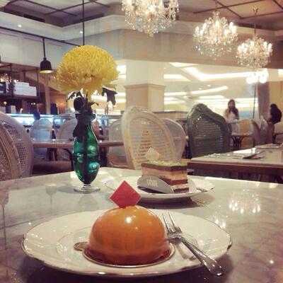 St. Germain By Cacaote