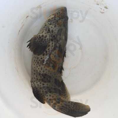 Restoran Kelong Jembatan 2