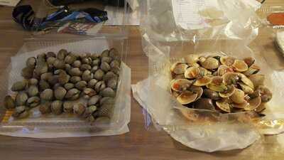 Kerang Kiloan Rudi