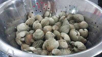 Kerang Kiloan Rudi