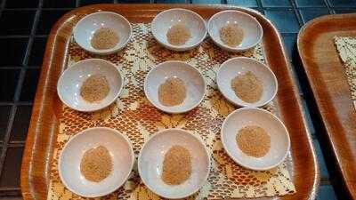 Echigoya Ramen Citywalk