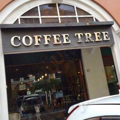 Coffee Tree