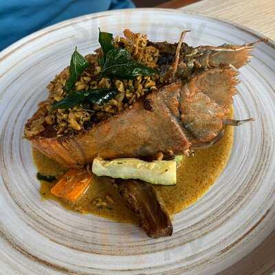 Spice By Chris Salans