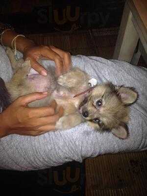 Jojo's Coffee & Gelato