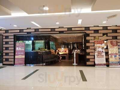 The Duck King Central Park