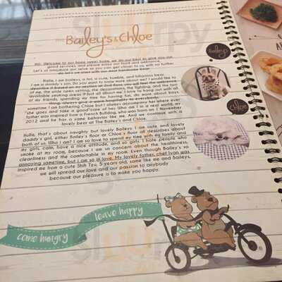 The Bailey's And Chloe