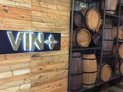 Vin + Wine & Beyond