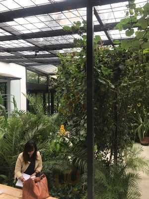 Beau By Talita Setyadi - Grand Indonesia