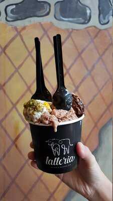 Latteria Gelato And Dessert Bar