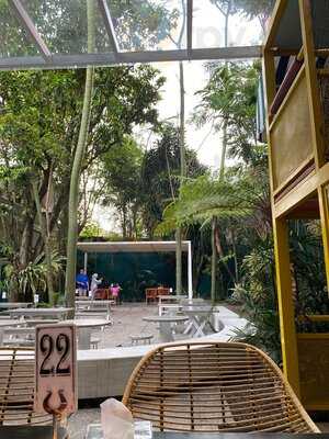 Justus Steak House Dago