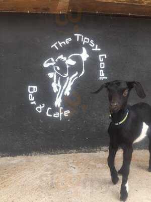 The Tipsy Goat Bar And Cafe
