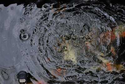 Dandy's Steak House And Coffee