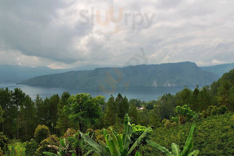 Parhallow Viewpoint And Coffee Shop