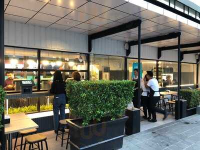 Tamani Plus - World Trade Center 6