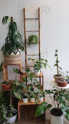 Lof Kitchen And Plants