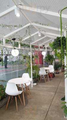 Lof Kitchen And Plants