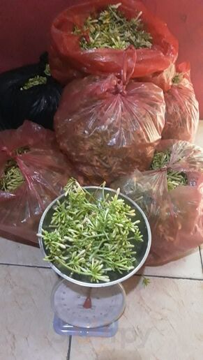 Rumah Makan Manado Rasaroa