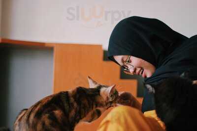 Hello Cat Cafe