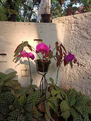 Patio Bakery By Plataran