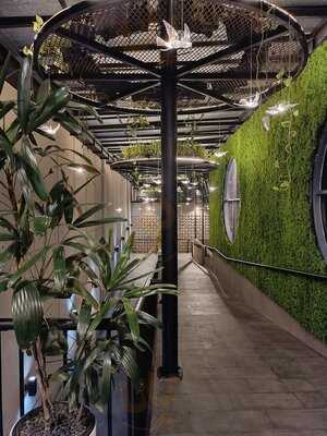 Verda Coffee & Kitchen