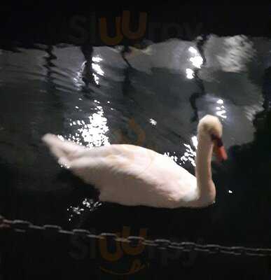 Telaga Seafood Lavon