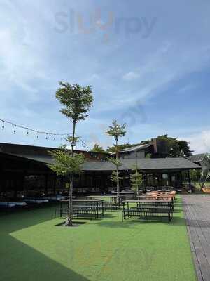 Tip Tap Toe Day Club