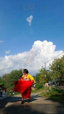 Omah Singo Stay & Resto