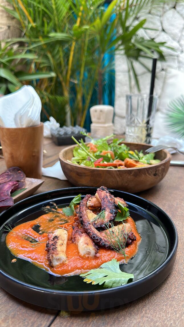 Canggito - Mexican Grill & Bar