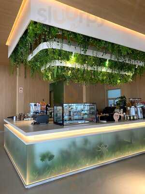 Kafe Gamat (brawijaya)