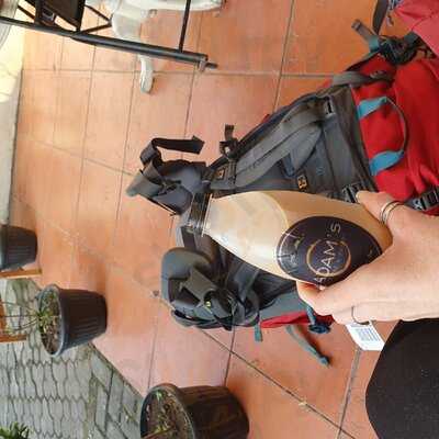 Adam's Coffee & Pastry