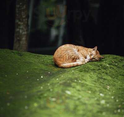 Pawon Tempuran By Toto Dahar