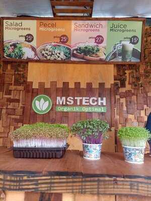Mstech -salad Microgreens