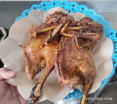 Ayam/bebek Goreng Kang Salim