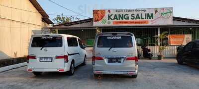 Ayam/bebek Goreng Kang Salim