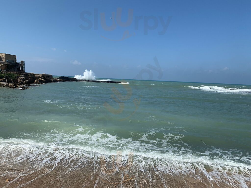 מסעדת הצלבנים