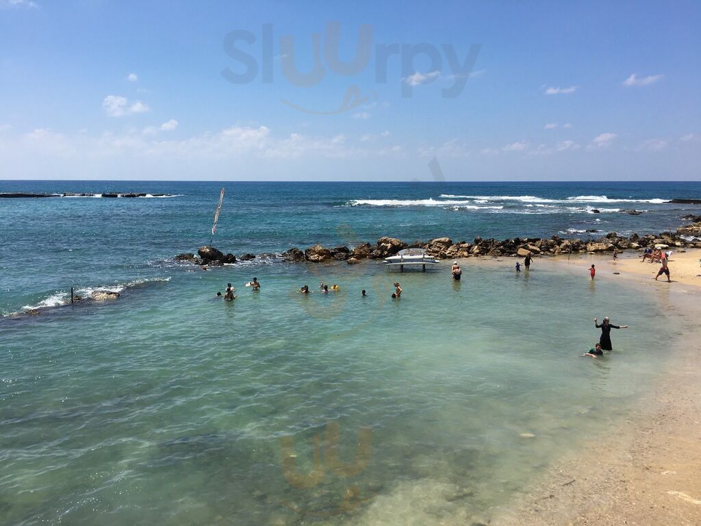 beach Bar