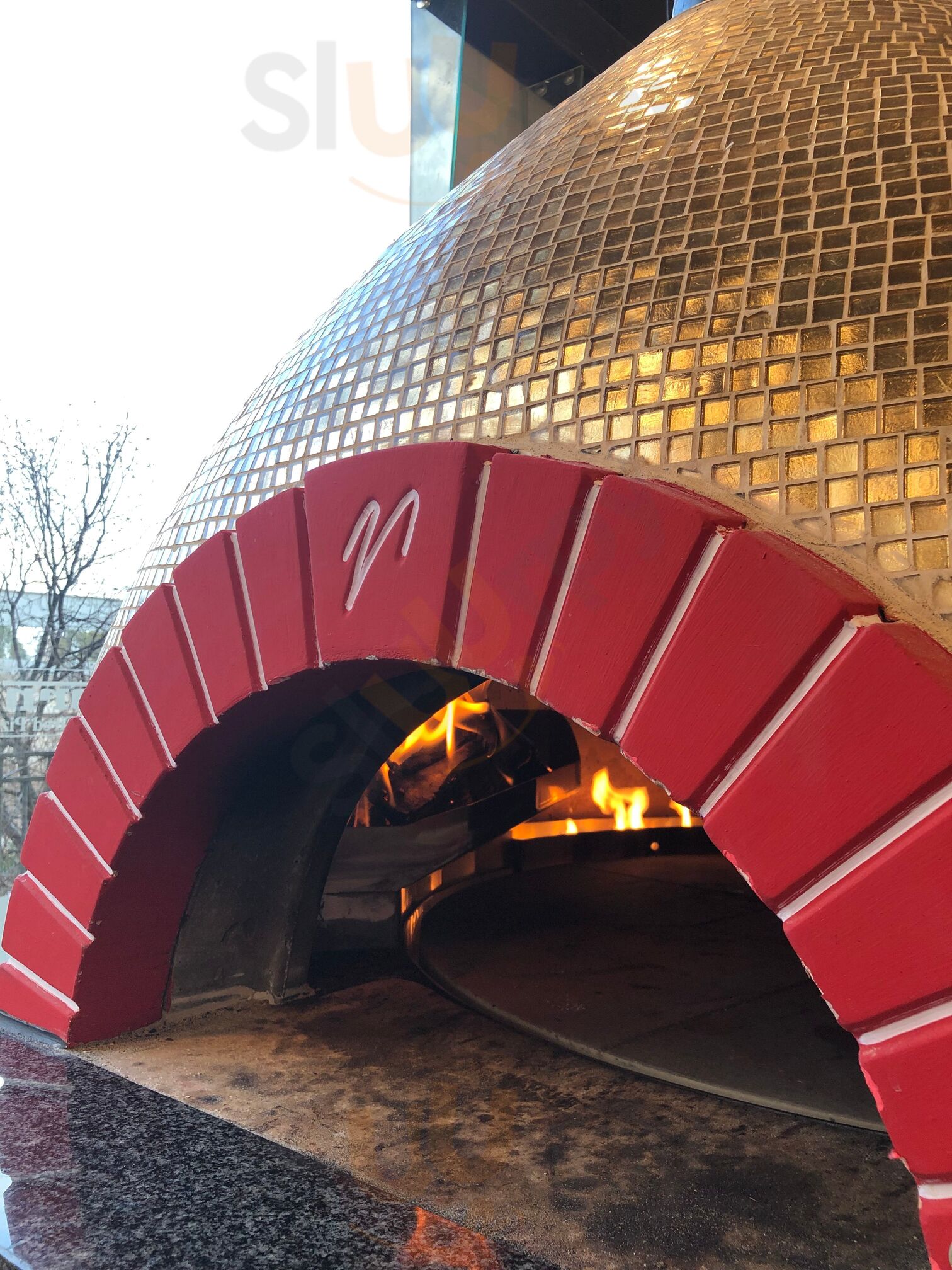 forni Stone Fired Pizza