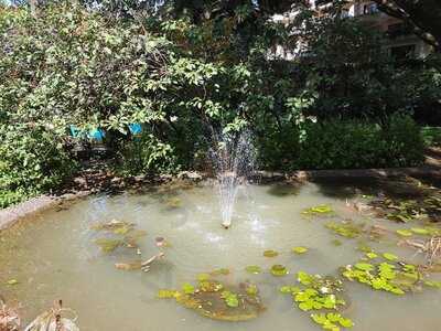 The Polo Club (the Oberoi)