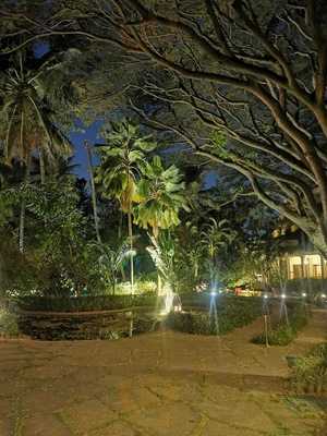 The Polo Club (the Oberoi)