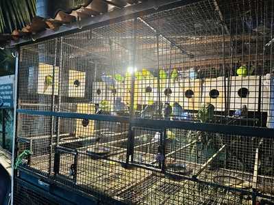 Hotel Green Park Restaurant