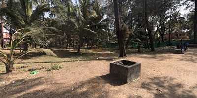 Crazy Crab Restaurant