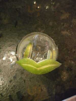 Mr. Rabbit's Bar & Burrow