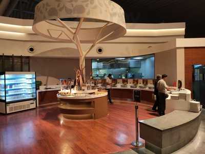 Above Ground Levell Lounge